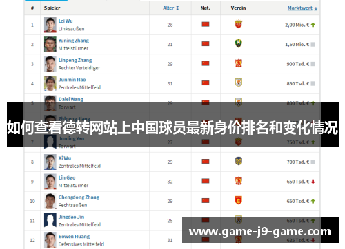 如何查看德转网站上中国球员最新身价排名和变化情况 如何查看德转网站上中国球员最新身价排名和变化情况