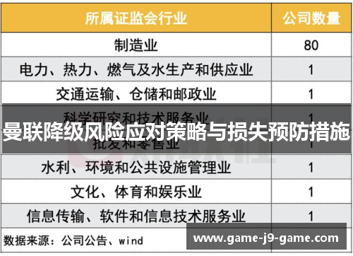 曼联降级风险应对策略与损失预防措施 曼联降级风险应对策略与损失预防措施