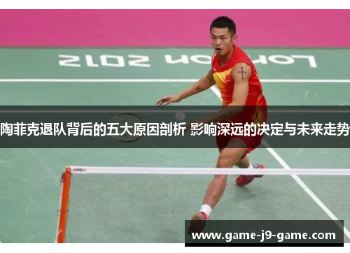 陶菲克退队背后的五大原因剖析 影响深远的决定与未来走势 陶菲克退队背后的五大原因剖析 影响深远的决定与未来走势