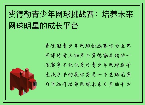 费德勒青少年网球挑战赛：培养未来网球明星的成长平台