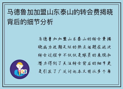 马德鲁加加盟山东泰山的转会费揭晓背后的细节分析